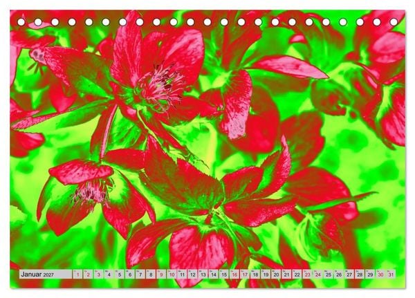 Produktbild: Blumen Pop-Art (Tischkalender 2027 DIN A5 quer), CALVENDO Monatskalender