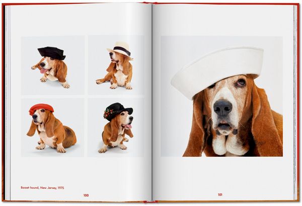 Produktbild: Walter Chandoha. Dogs. Photographs 1941&ndash;1991