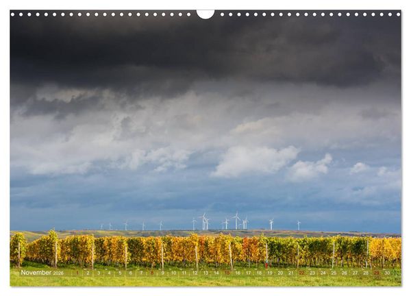 Produktbild: Wein - Landschaften (Wandkalender 2026 DIN A3 quer), CALVENDO Monatskalender