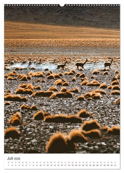 Produktbild: Chile - Ein Land mit unglaublicher Vielfalt. (Wandkalender 2026 DIN A2 hoch), CALVENDO Monatskalender