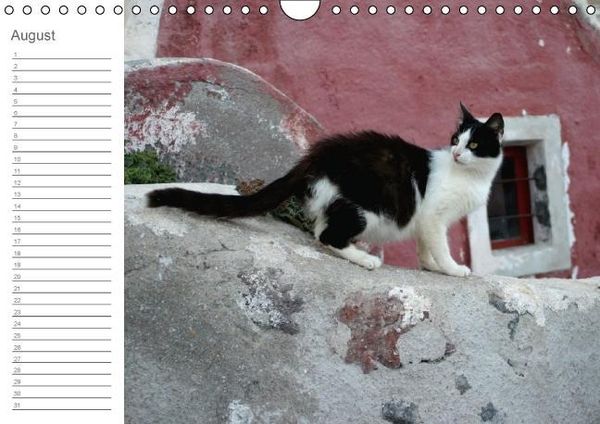 Produktbild: Impressionen des S&uuml;dens (Wandkalender immerw&auml;hrend DIN A4 quer)
