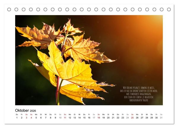 Produktbild: Bl&auml;tterreigen (Tischkalender 2026 DIN A5 quer), CALVENDO Monatskalender