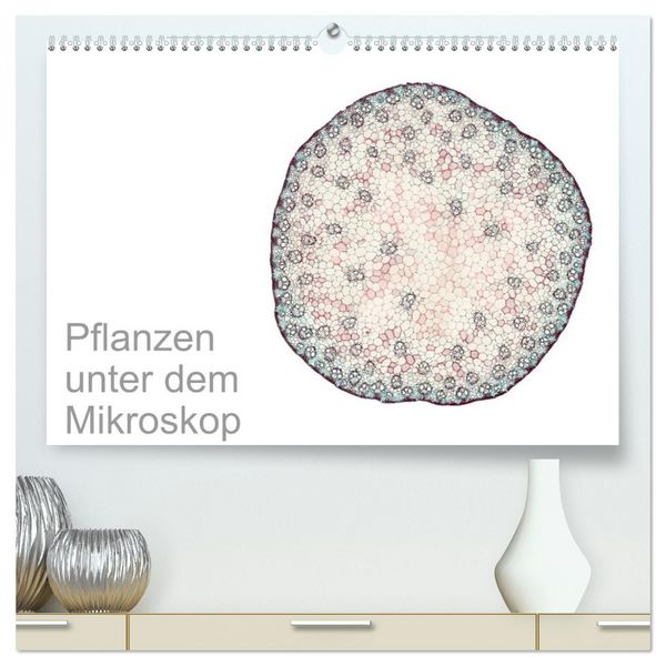 Produktbild: Pflanzen unter dem Mikroskop (hochwertiger Premium Wandkalender 2026 DIN A2 quer), Kunstdruck in Hochglanz