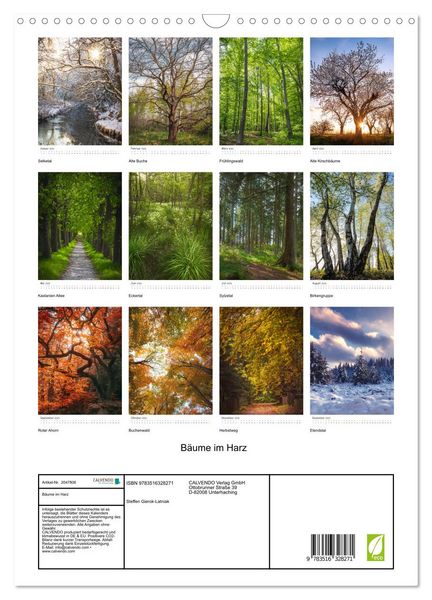 Produktbild: B&auml;ume im Harz (Wandkalender 2026 DIN A3 hoch), CALVENDO Monatskalender