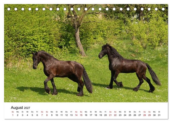 Produktbild: Friesen - Kraft und Eleganz (Tischkalender 2027 DIN A5 quer), CALVENDO Monatskalender