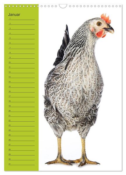 Produktbild: Kunterbunte H&uuml;hner Truppe (Wandkalender 2026 DIN A3 hoch), CALVENDO Monatskalender