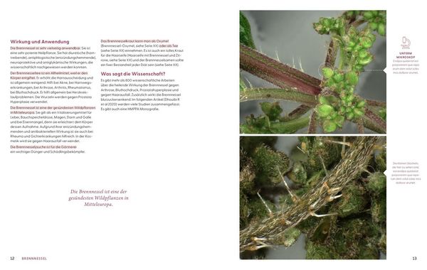 Produktbild: Wie Wildkr&auml;uter wirken