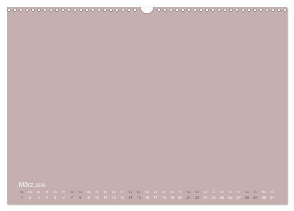 Produktbild: DIY Bastel-Kalender -Erdige Pastell Farben- Zum Selbstgestalten (Wandkalender 2026 DIN A3 quer), CALVENDO Monatskalender