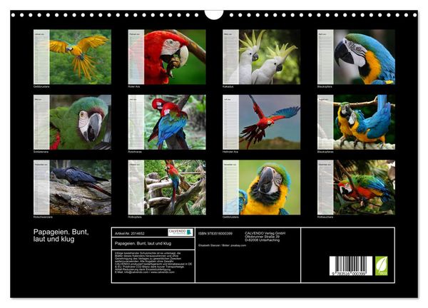 Produktbild: Papageien. Bunt, laut und klug (Wandkalender 2026 DIN A3 quer), CALVENDO Monatskalender