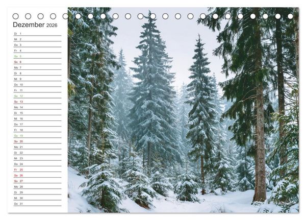 Produktbild: Gr&uuml;ne Zukunft (Tischkalender 2026 DIN A5 quer), CALVENDO Monatskalender