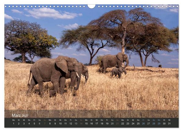 Produktbild: Elefanten (Wandkalender 2027 DIN A3 quer), CALVENDO Monatskalender