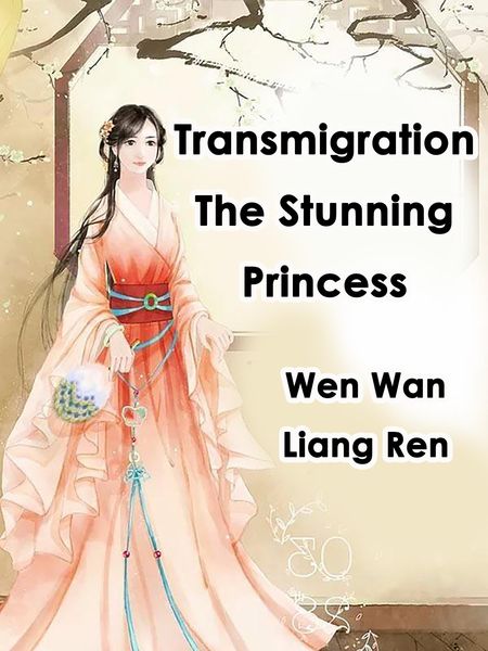 Produktbild: Transmigration: The Stunning Princess