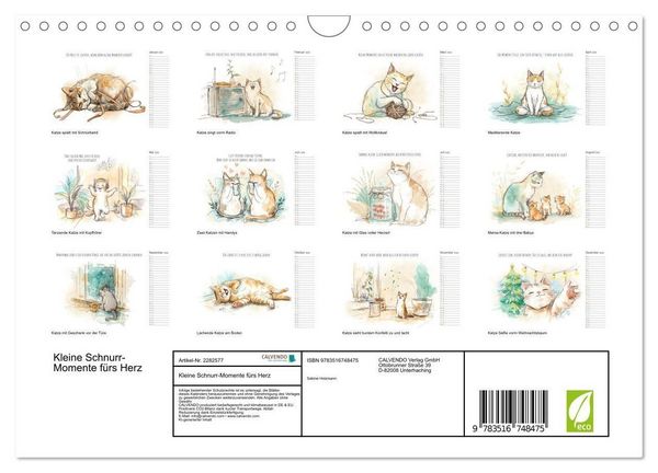 Produktbild: Kleine Schnurr-Momente f&uuml;rs Herz (Wandkalender 2026 DIN A4 quer), CALVENDO Monatskalender