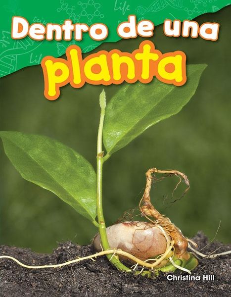 Produktbild: Dentro de una planta
