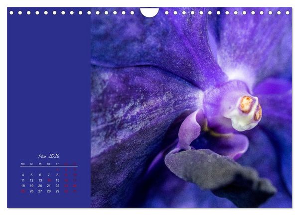 Produktbild: Bl&uuml;tenstil (Wandkalender 2026 DIN A4 quer), CALVENDO Monatskalender