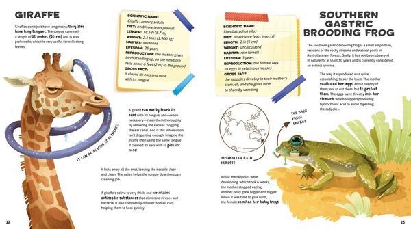 Produktbild: Weird and Wonderful Gross Animals