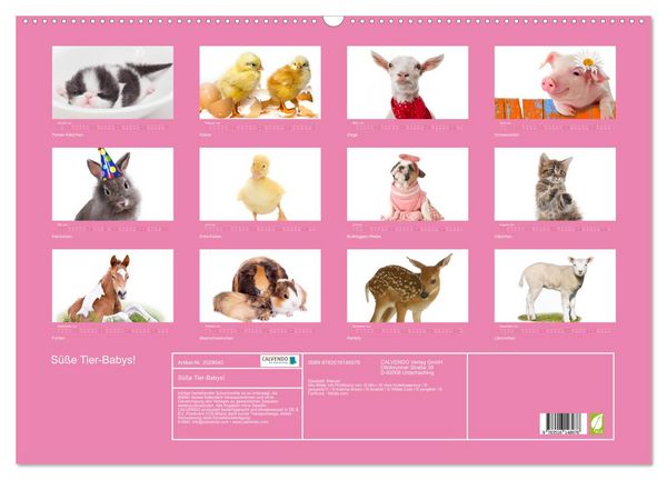 Produktbild: S&uuml;&szlig;e Tier-Babys! (Wandkalender 2026 DIN A2 quer), CALVENDO Monatskalender