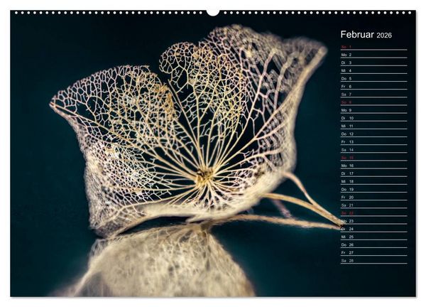 Produktbild: Die Hortensie und ihre vielen Gesichter (hochwertiger Premium Wandkalender 2026 DIN A2 quer), Kunstdruck in Hochglanz
