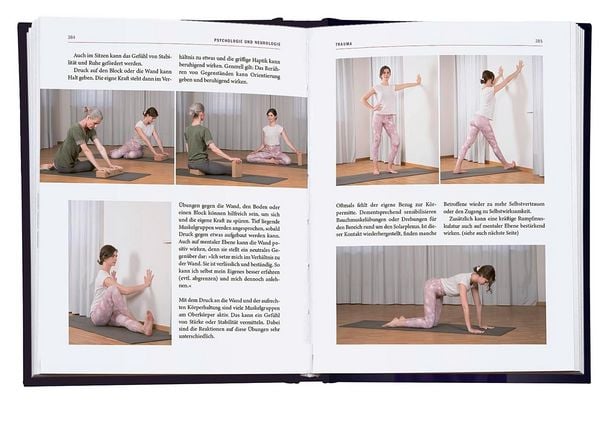 Produktbild: Yoga-Therapie in der Praxis