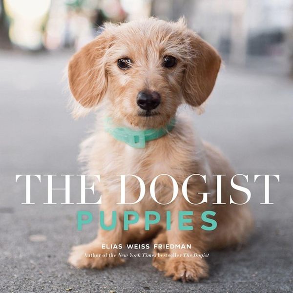 Produktbild: The Dogist Puppies