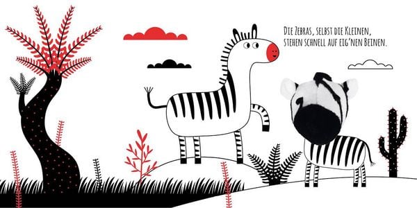 Produktbild: Kontrastbuch f&uuml;r Babys mit Fingerpuppe: Guck mal, kleines Zebra
