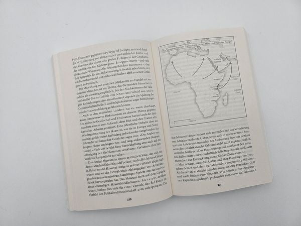 Produktbild: Eine afrikanische Geschichte Afrikas