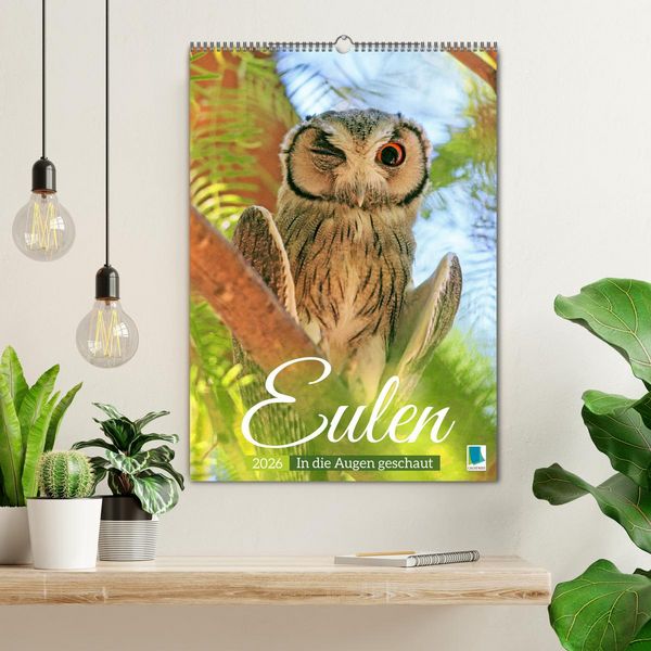 Produktbild: Eulen: In die Augen geschaut (Wandkalender 2026 DIN A2 hoch), CALVENDO Monatskalender