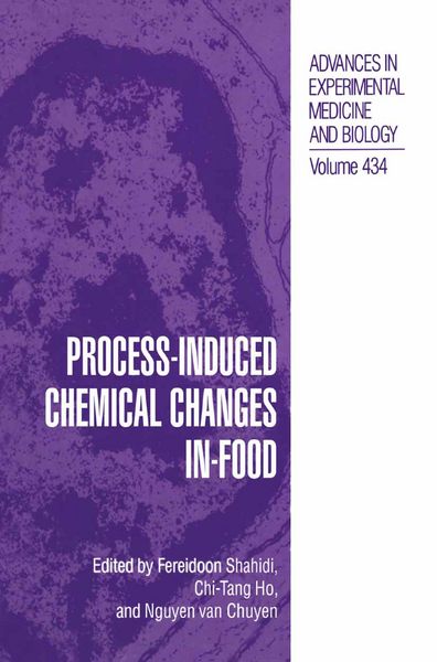 Produktbild: Process-Induced Chemical Changes in Food