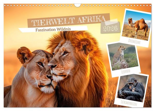 Produktbild: TIERWELT AFRIKA Faszination Wildnis (Wandkalender 2026 DIN A3 quer), CALVENDO Monatskalender