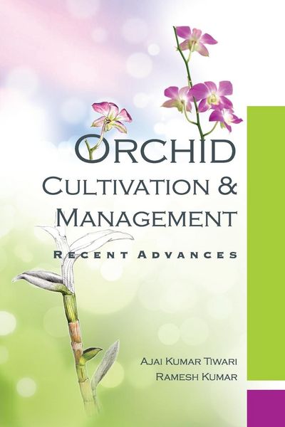 Produktbild: Orchid