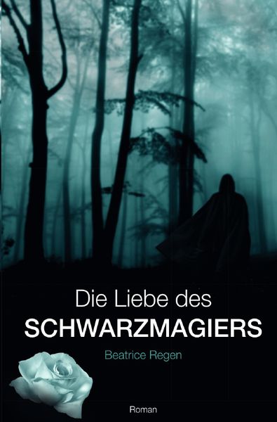 Die Liebe des Schwarzmagiers, Taschenbuch von Beatrice Regen, Epubli, 9783748553717