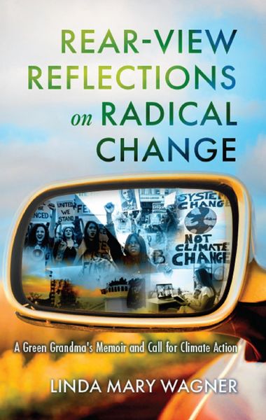 Produktbild: Rear-View Reflections on Radical Change