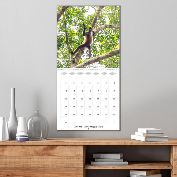 Produktbild: Costa Rica wild and peaceful (Wall Calendar 2027 12 &times; 12 Inch) CALVENDO 12 Month Wall Calendar