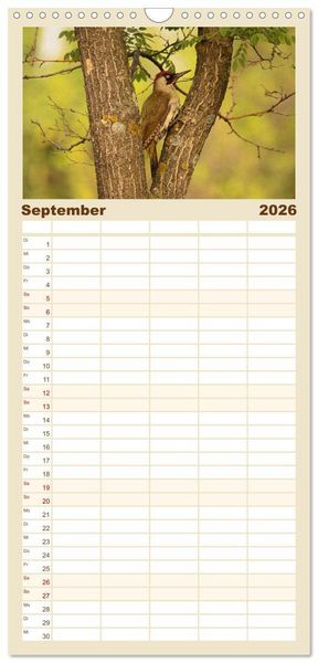 Produktbild: Familienplaner 2026 - V&ouml;gel ganz nah mit 5 Spalten (Wandkalender, 21 x 45 cm) CALVENDO