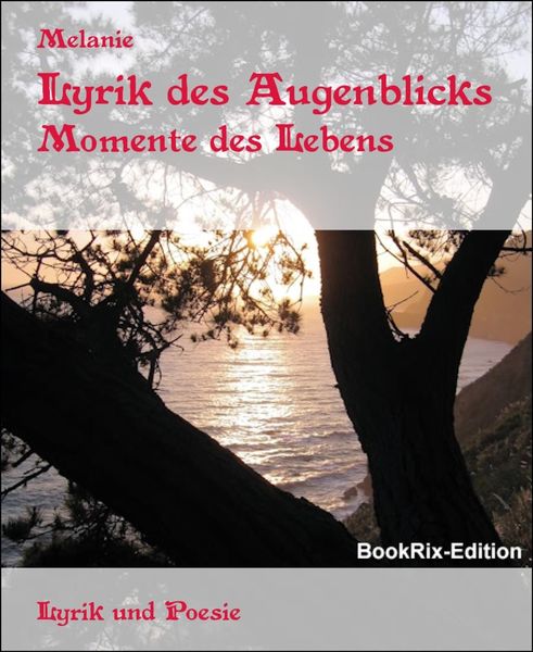 Produktbild: Lyrik des Augenblicks