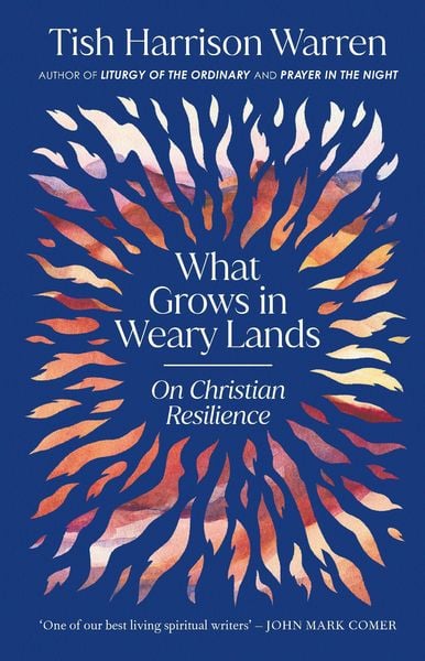 Produktbild: What Grows in Weary Lands