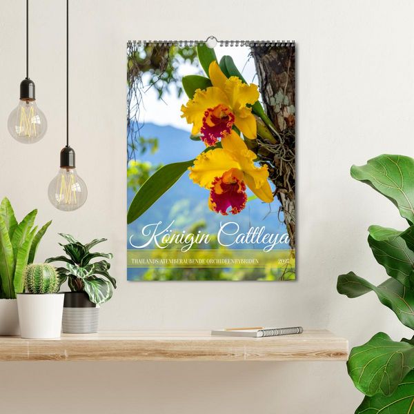 Produktbild: K&ouml;nigin Cattleya (Wandkalender 2027 DIN A3 hoch), CALVENDO Monatskalender