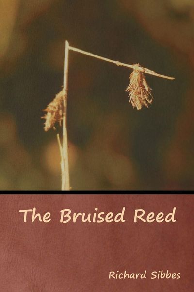 Produktbild: The Bruised Reed