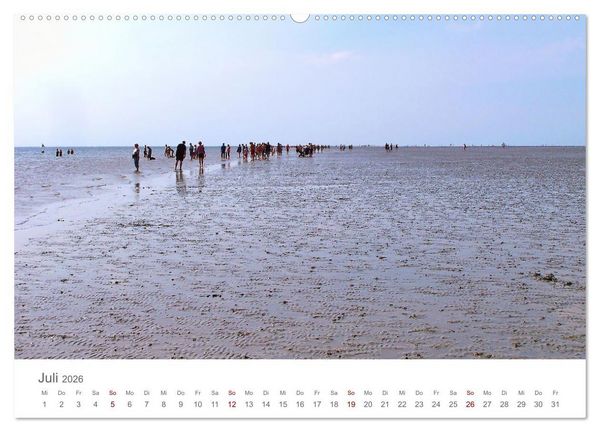 Produktbild: Mein B&uuml;sum - Das wundersch&ouml;ne Nordseeheilbad in Schleswig-Holstein (hochwertiger Premium Wandkalender 2026 DIN A2 quer), Kunstdruck in Hochglanz