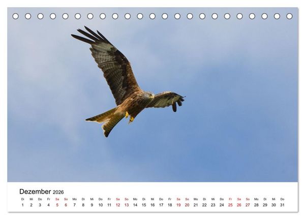 Produktbild: Wales Land der Sehensw&uuml;rdigkeiten, Landschaften und Natur (Tischkalender 2026 DIN A5 quer), CALVENDO Monatskalender
