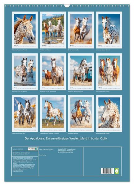 Produktbild: Der Appaloosa. Ein zuverl&auml;ssiges Westernpferd in bunter Optik (Wandkalender 2027 DIN A2 hoch), CALVENDO Monatskalender