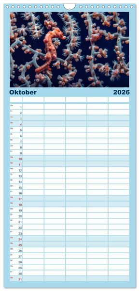 Produktbild: Familienplaner 2026 - Hippocampus oder einfach nur Seepferdchen mit 5 Spalten (Wandkalender, 21 x 45 cm) CALVENDO