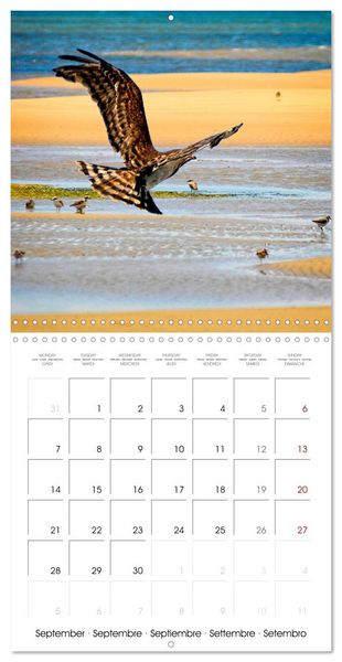 Produktbild: Destination Lamu (Wall Calendar 2026 12 &times; 12 Inch) CALVENDO 12 Month Wall Calendar