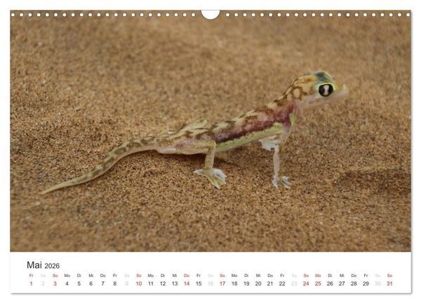 Produktbild: Namibia - Tierische Vielfalt (Wandkalender 2026 DIN A3 quer), CALVENDO Monatskalender