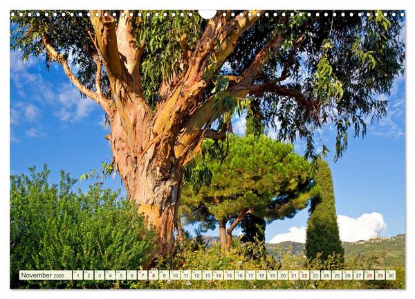 Produktbild: Mediterrane Flora - Pflanzen des S&uuml;dens (Wandkalender 2026 DIN A3 quer), CALVENDO Monatskalender
