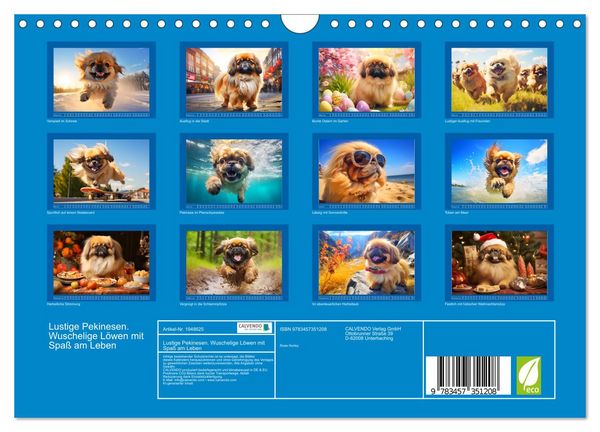 Produktbild: Lustige Pekinesen. Wuschelige L&ouml;wen mit Spa&szlig; am Leben (Wandkalender 2026 DIN A4 quer), CALVENDO Monatskalender
