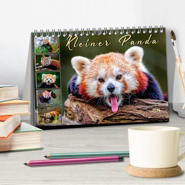 Produktbild: Kleiner Panda (Tischkalender 2026 DIN A5 quer), CALVENDO Monatskalender