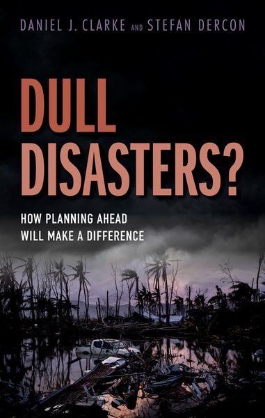 Produktbild: Dull Disasters?