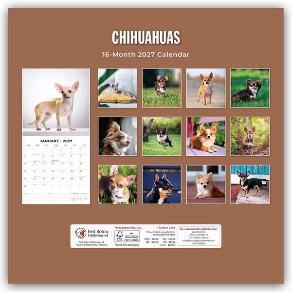 Produktbild: Chihuahuas &ndash; Chihuahua 2027 &ndash; 16-Monatskalender
