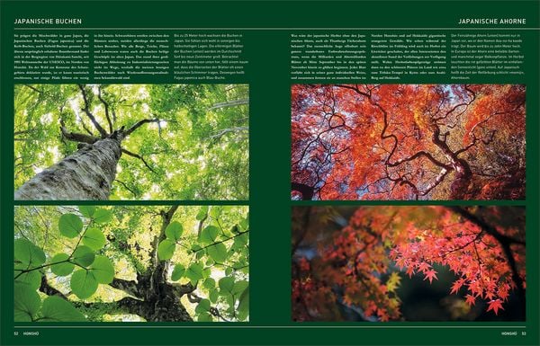 Produktbild: KUNTH Japan. Das Buch